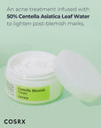 Oil-Control Centella Blemish Cream for Oily Skin