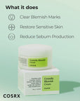 Spot Treatment Centella Blemish Cream for Pimples