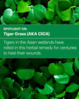 Where to find Cicapair Tiger Grass Color Correcting Treatment best price online